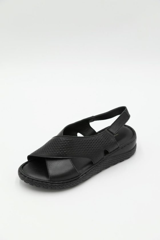 Model 1584 - Image 2